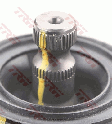 Steering Gear 4