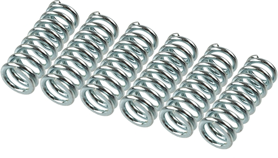 TRW MEF145-6 Clutch Spring Set