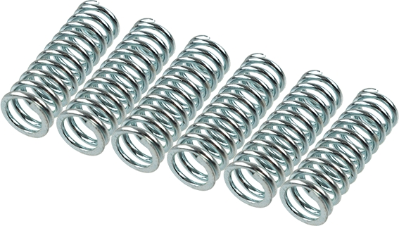 TRW MEF151-6 Clutch Spring Set