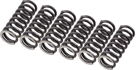 TRW MEF155-6 Clutch Spring Set