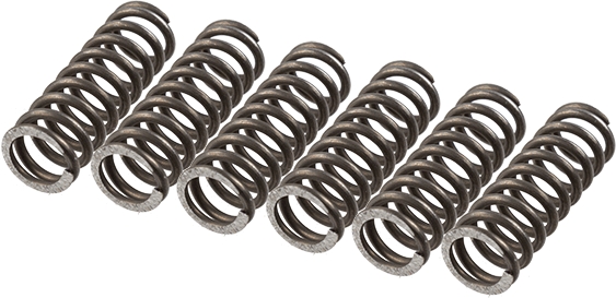 TRW MEF157-6 Clutch Spring Set