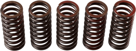 Clutch Spring Set