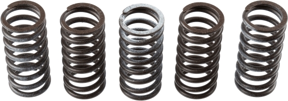TRW MEF309-5 Clutch Spring Set