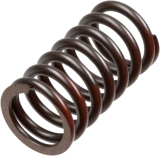 Clutch Spring Set