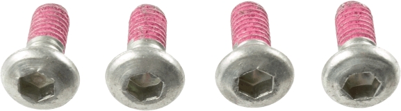 Screw Set, brake disc