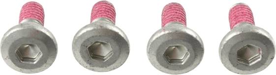 Screw Set, brake disc