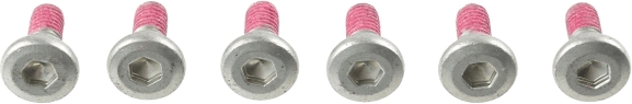 Screw Set, brake disc
