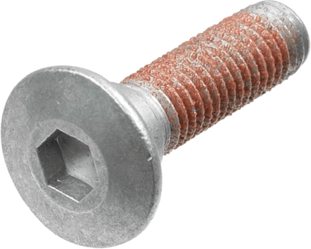 Screw Set, brake disc