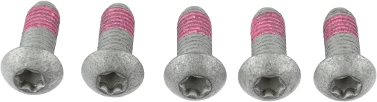 Screw Set, brake disc