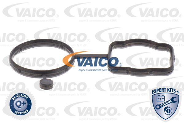 VAICO V10-4919 EXPERT KITS + Opravná sada vodného čerpadla