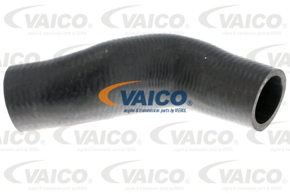 VAICO V20-3332 Hadice chladiče