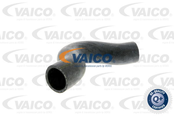 VAICO V30-0707 Hadice chladiče