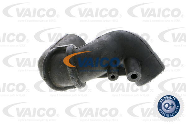 VAICO V30-1643 Hadice,...