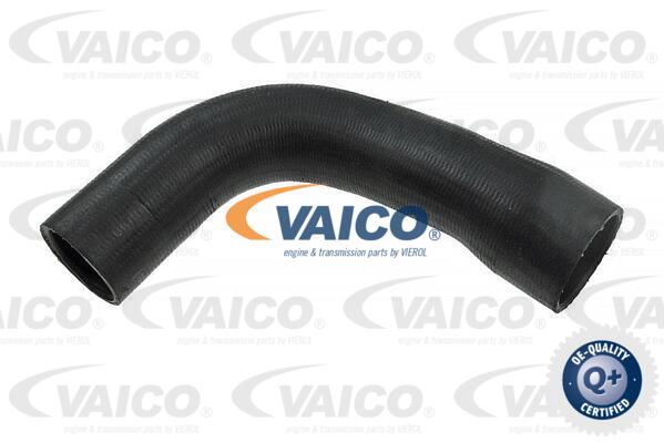 VAICO V38-9600 hadicka...