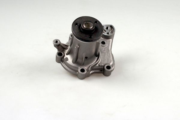HEPU P7510 Water Pump,...