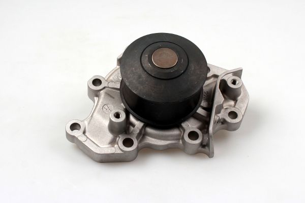 HEPU P7747 Water Pump,...