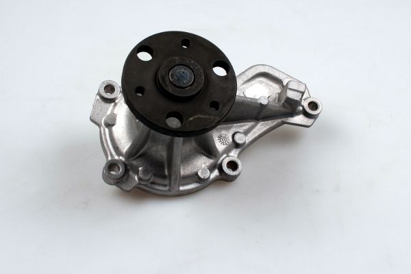 HEPU P7843 Water Pump,...