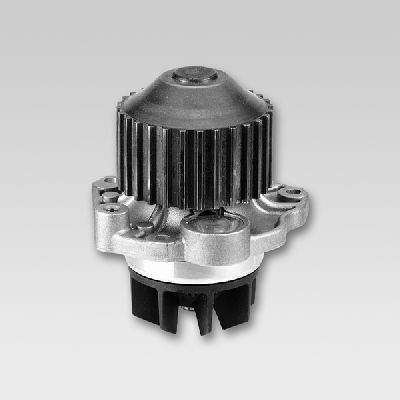 HEPU P802 Water Pump,...