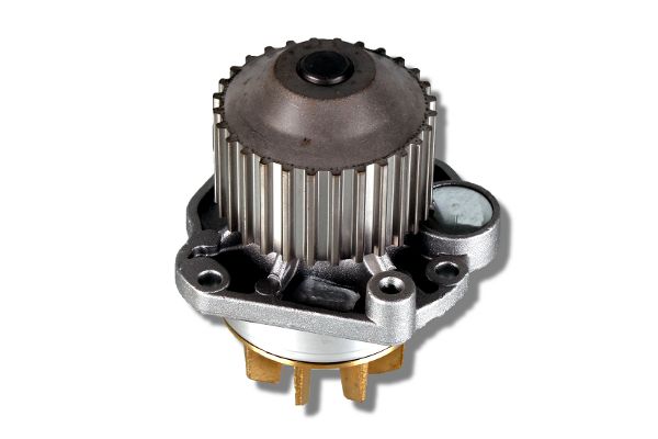 HEPU P805 Water Pump,...