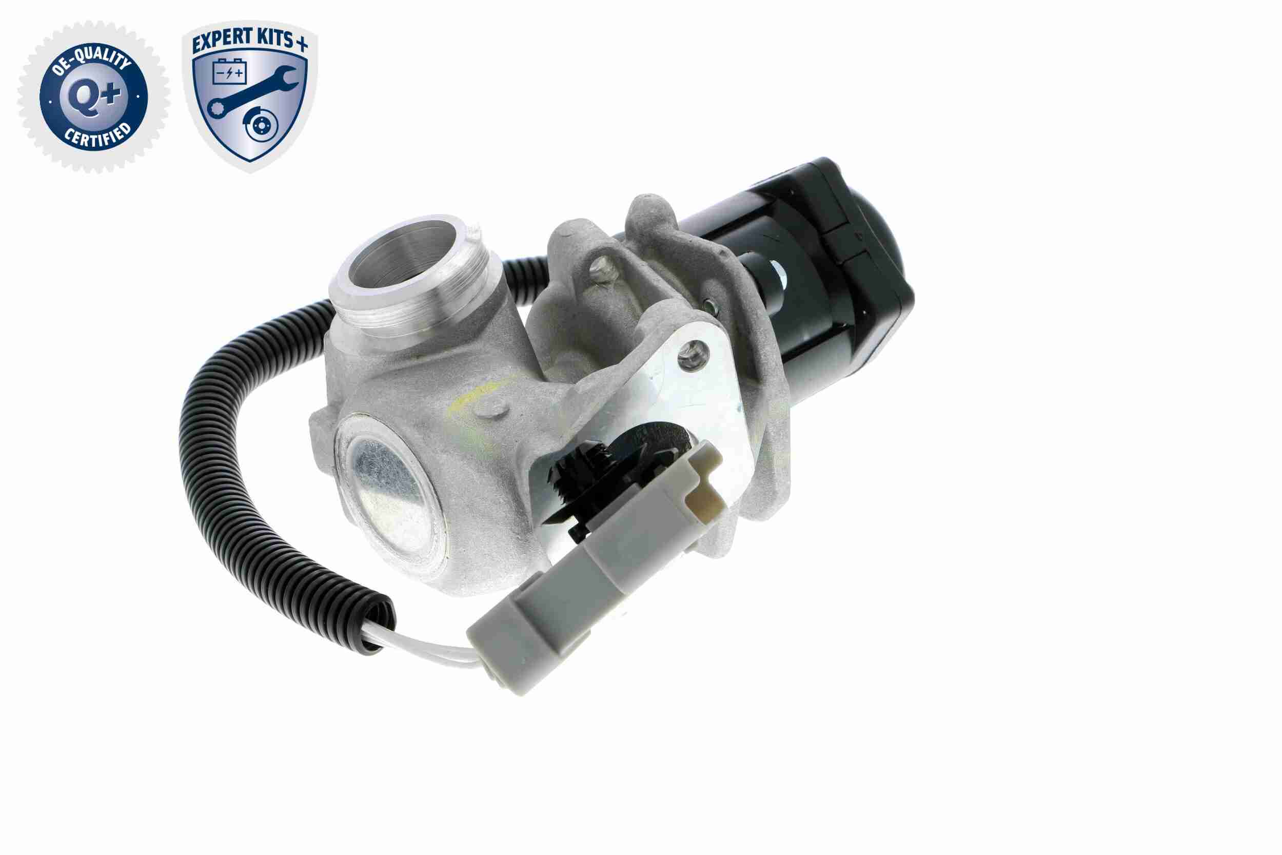 VEMO V25-63-0009 Agr-Ventil
