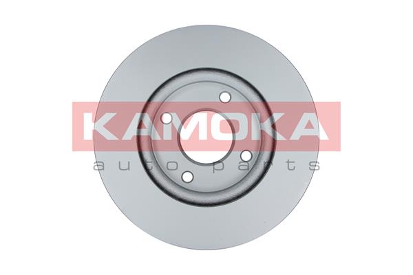 KAMOKA 103250 Bremsscheibe