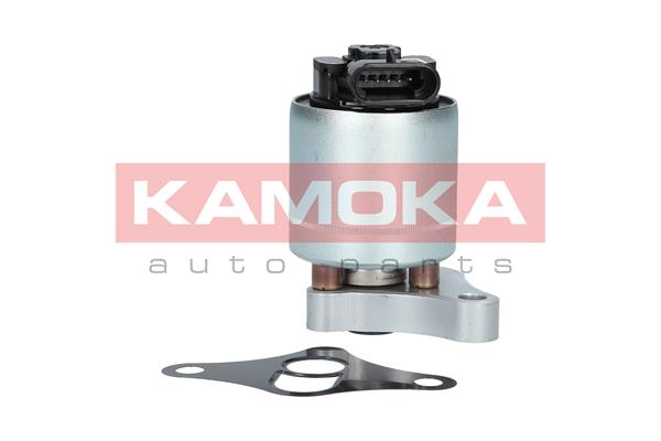 KAMOKA 19002 AGR-Ventil