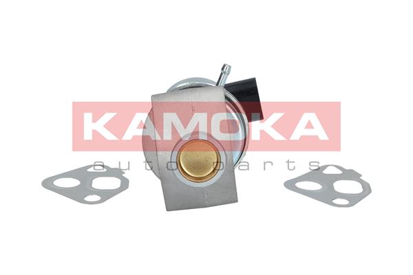 KAMOKA 19016 AGR-Ventil
