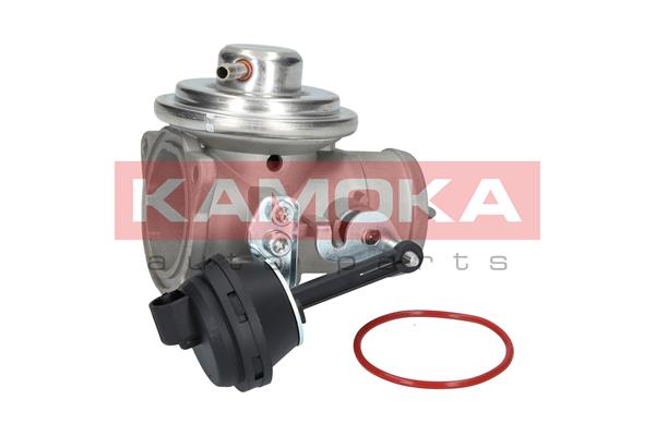 KAMOKA 19032 AGR-Ventil
