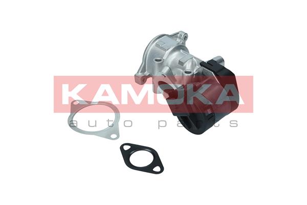 KAMOKA 19046 AGR-Ventil