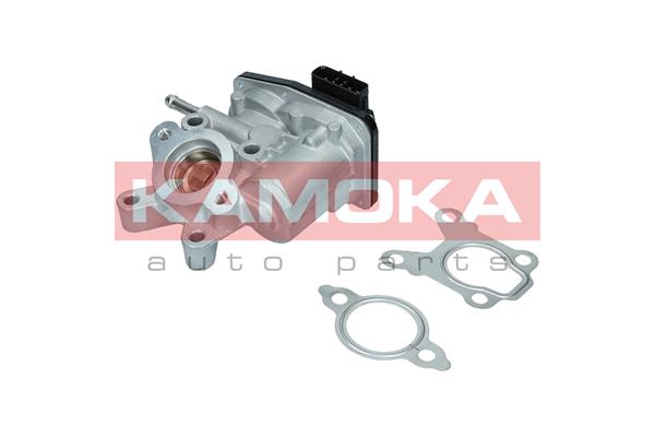 KAMOKA 19054 AGR-Ventil