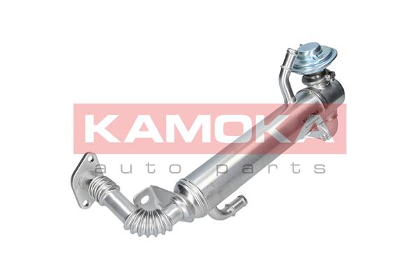 Cooler, exhaust gas recirculation 2