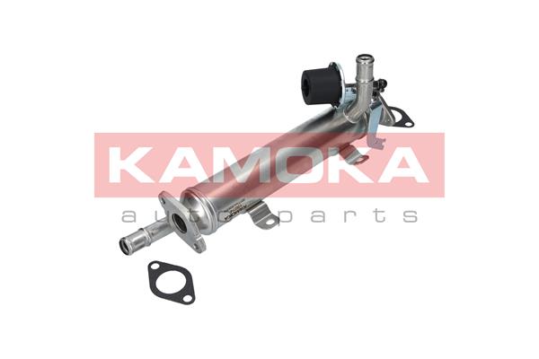 Cooler, exhaust gas recirculation
