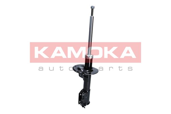 Shock Absorber 2