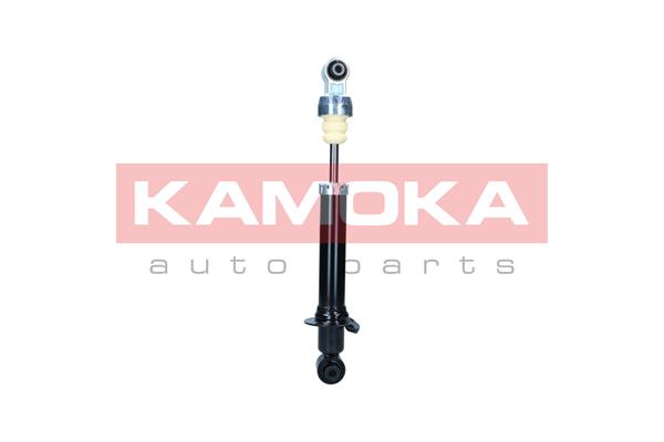 Shock Absorber 3