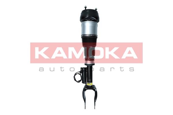 Air Suspension Strut