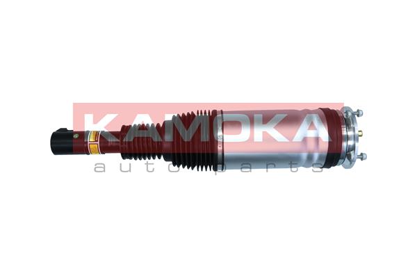 Air Suspension Strut