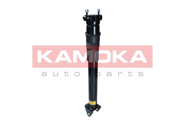 Air Suspension Strut 2
