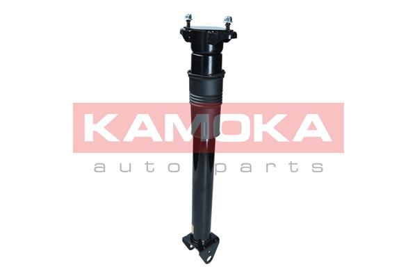 Air Suspension Strut 3