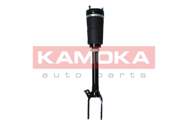 Air Suspension Strut 2