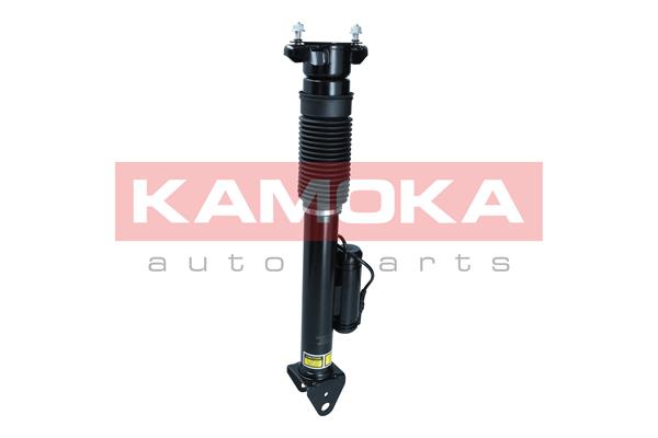 Air Suspension Strut 2