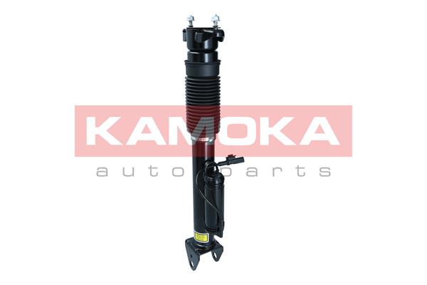 Air Suspension Strut 3