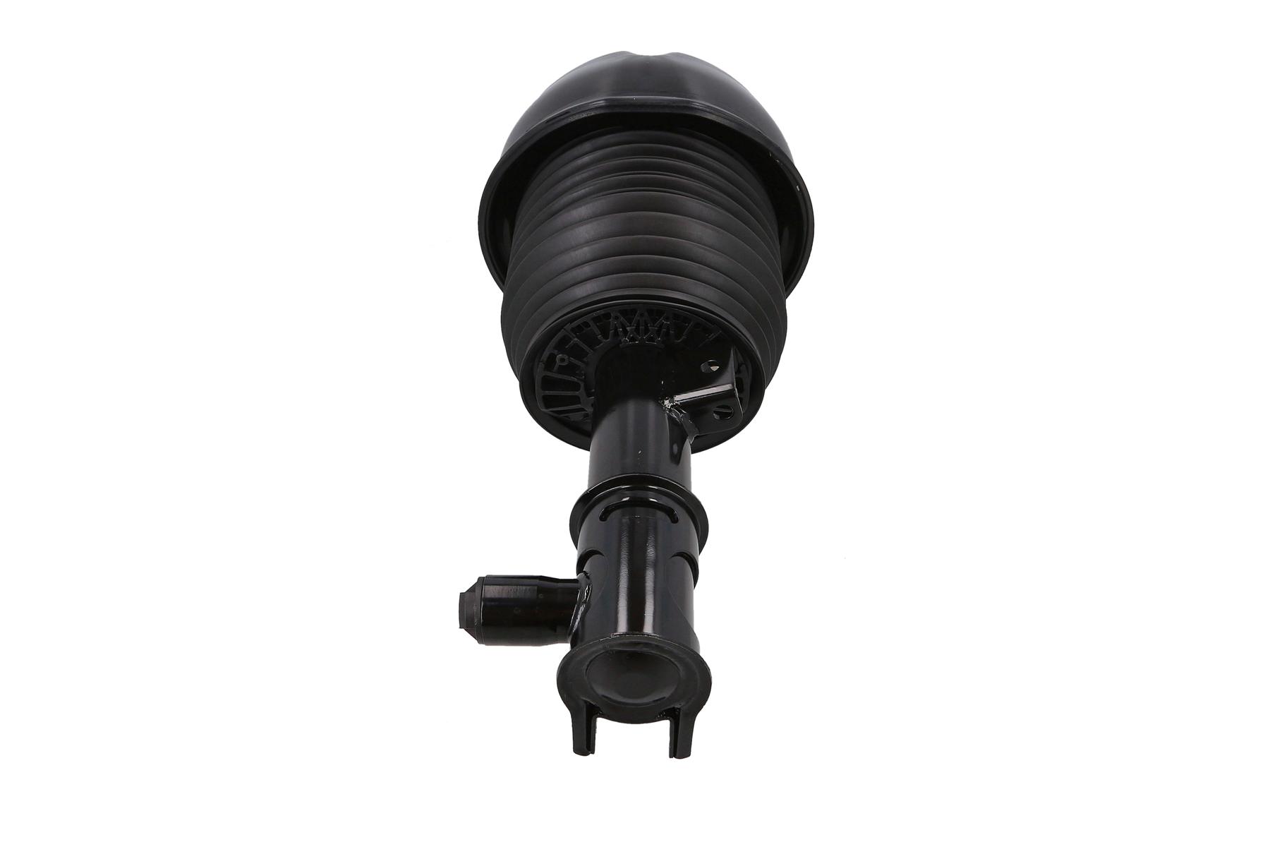 Air Suspension Strut 2
