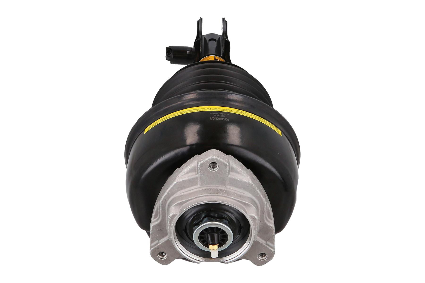 Air Suspension Strut 3