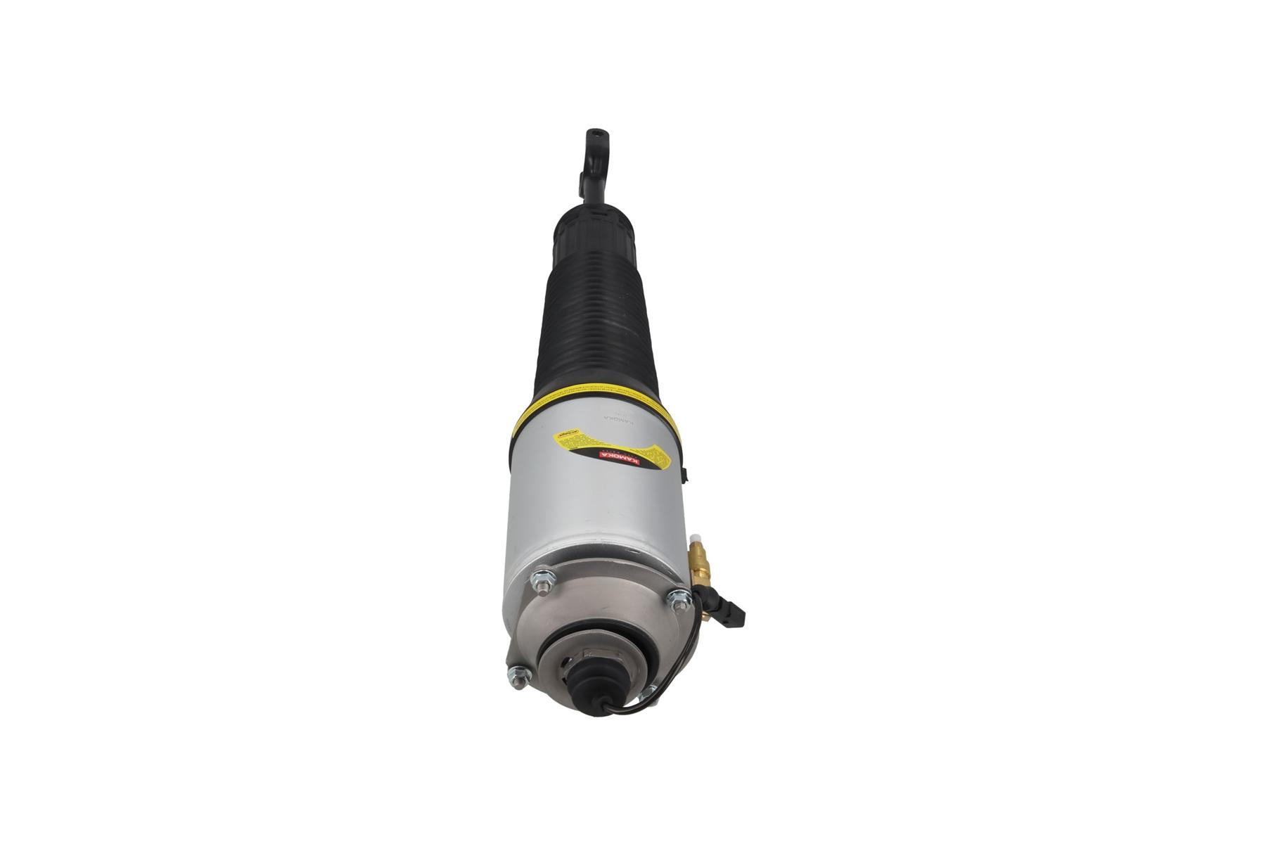 Air Suspension Strut 3