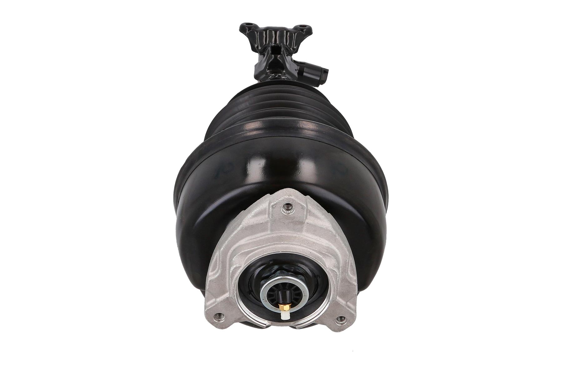 Air Suspension Strut 3