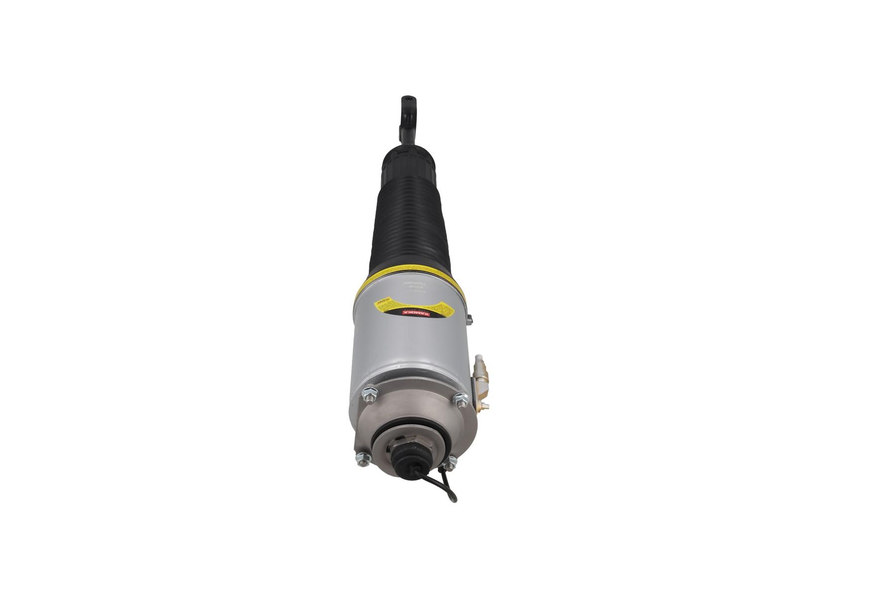 Air Suspension Strut 3