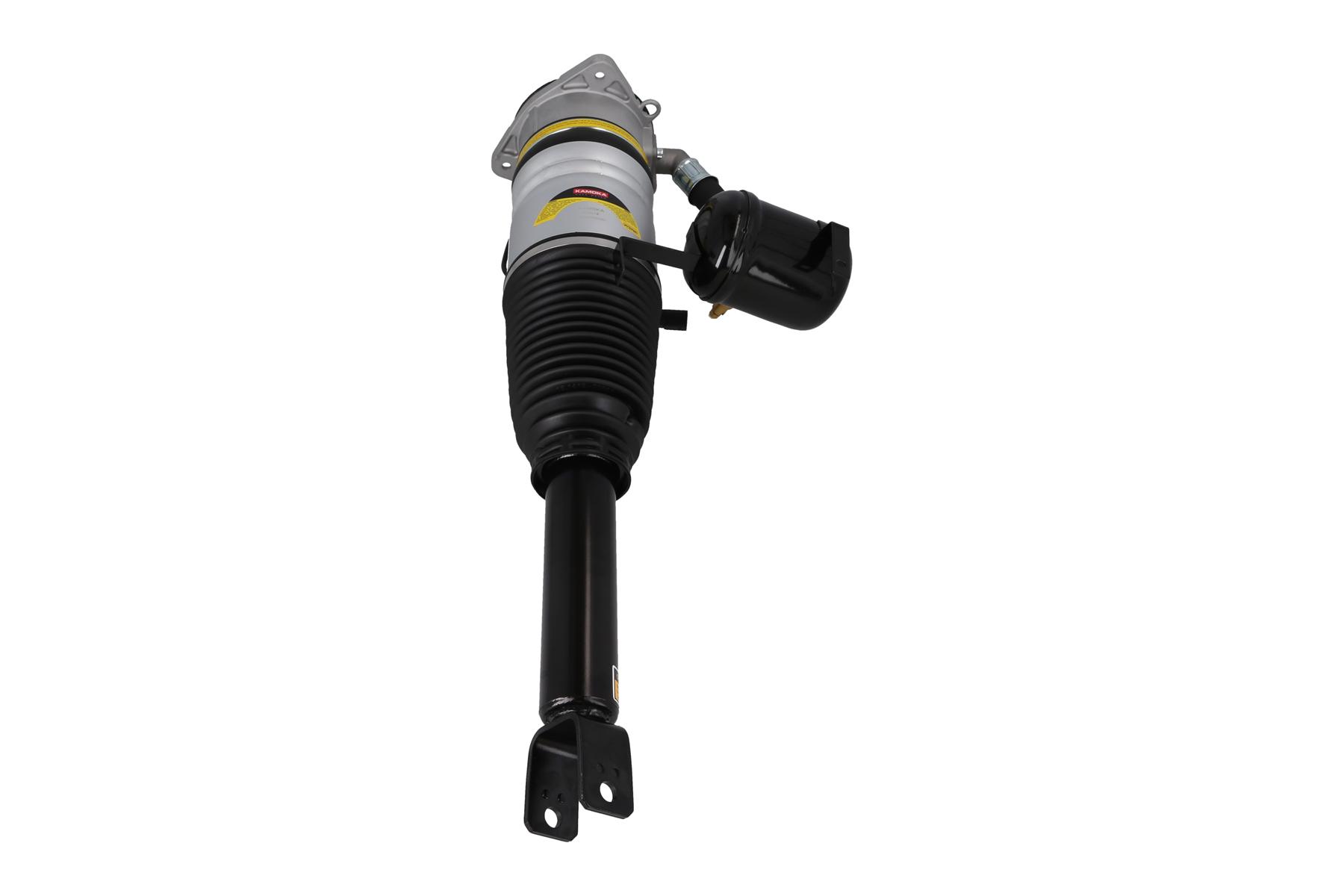 Air Suspension Strut 3