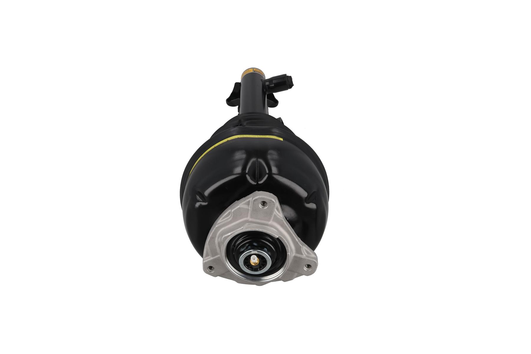 Air Suspension Strut 3