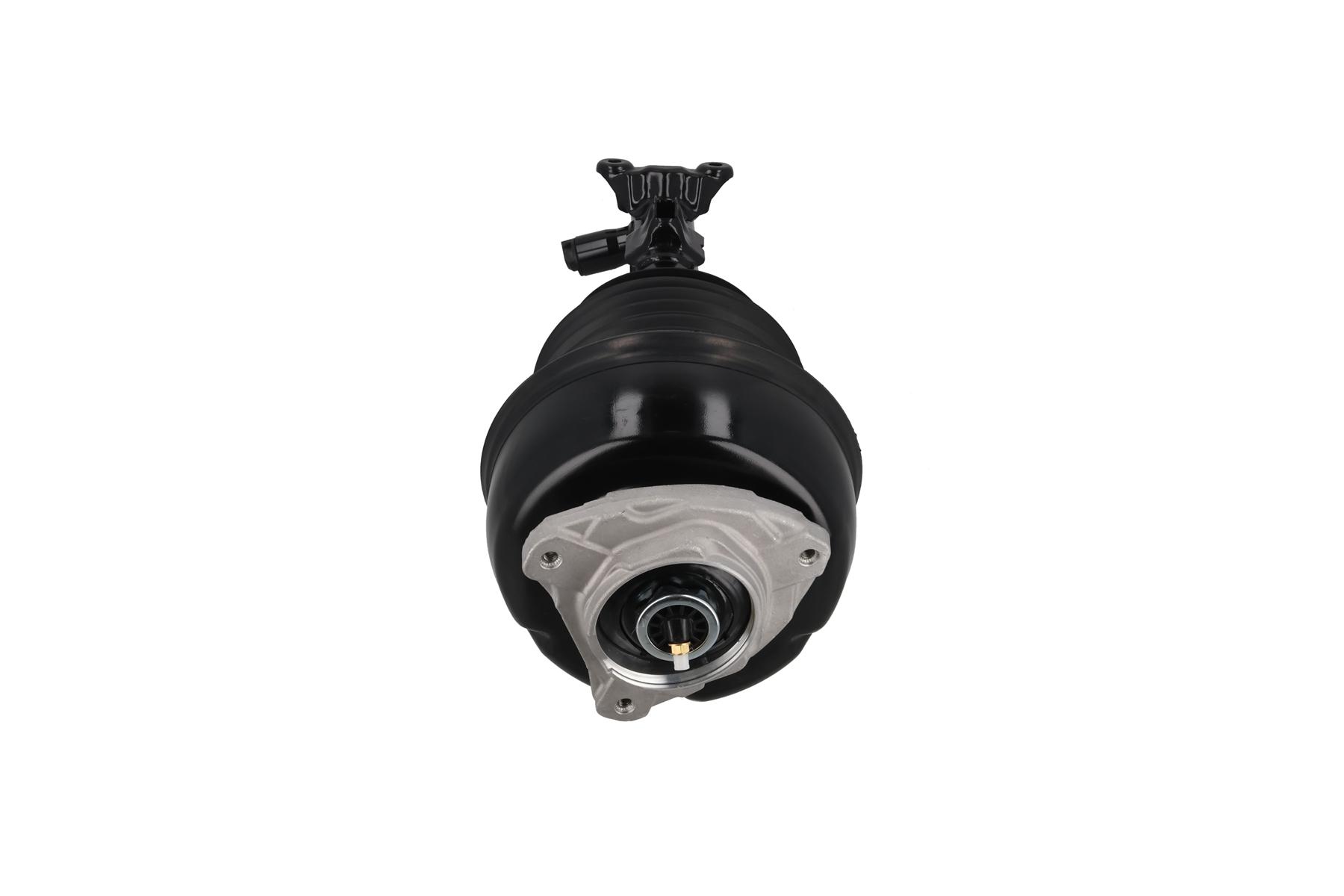 Air Suspension Strut 4