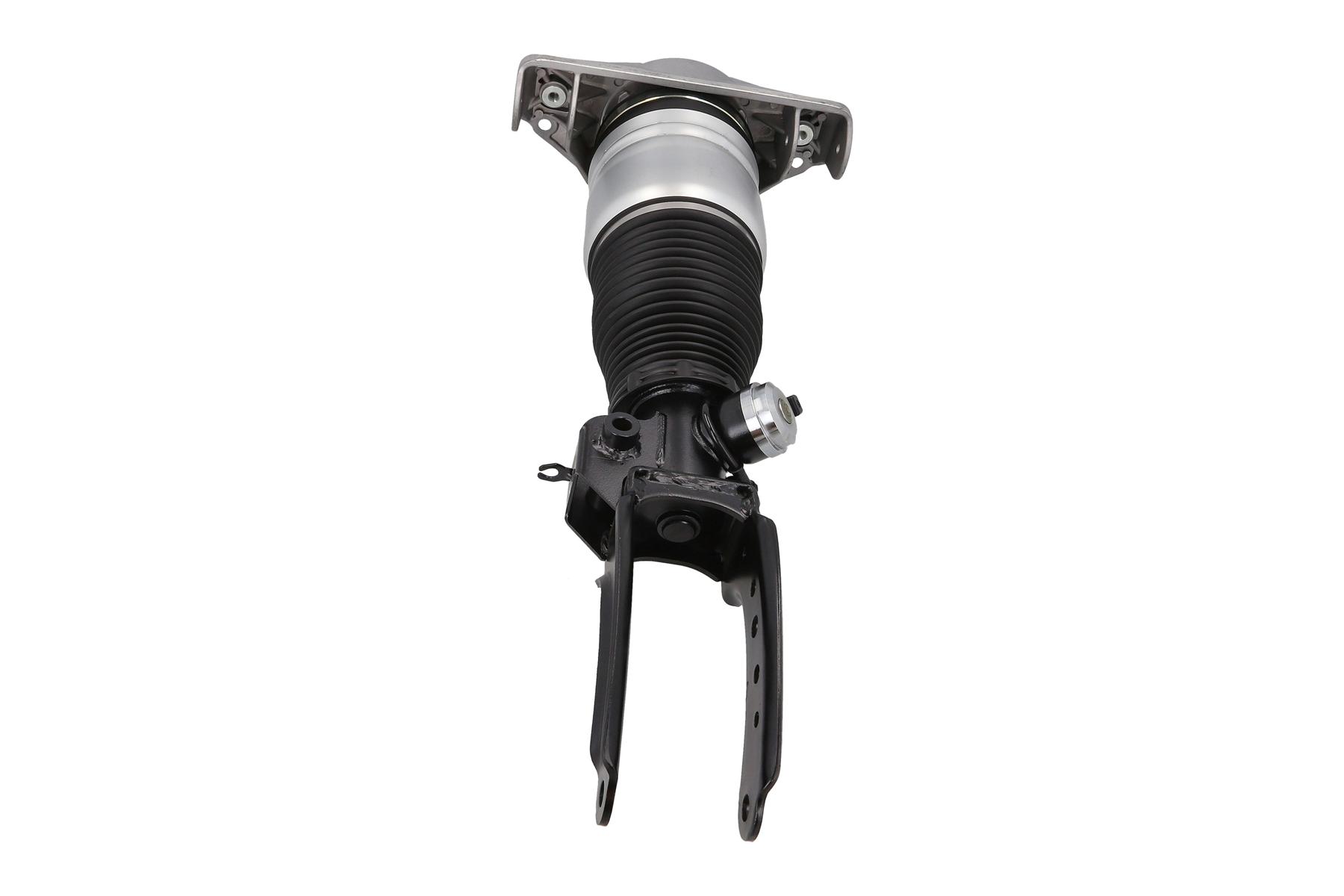 Air Suspension Strut 2